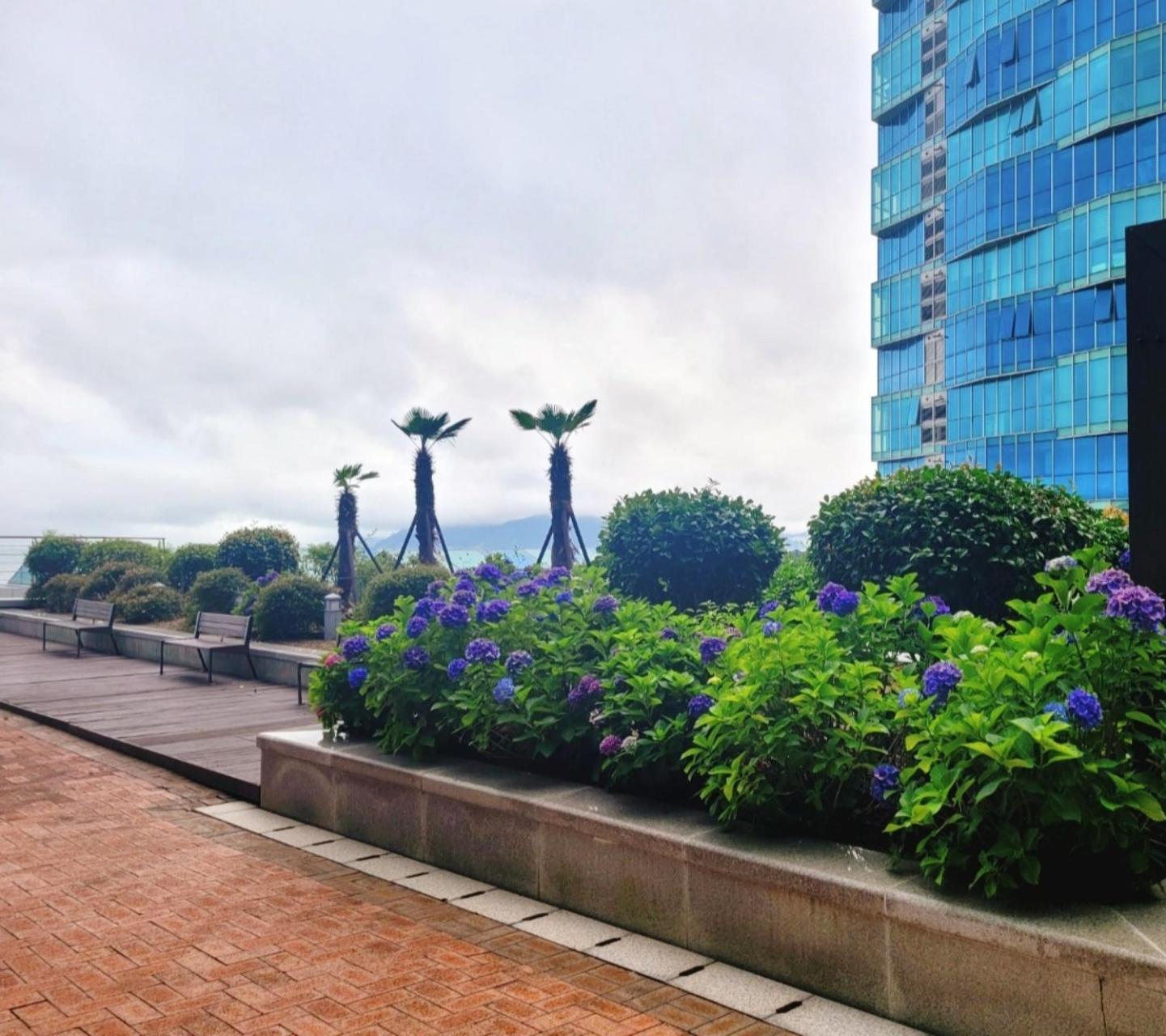 Pale De Cz Condo Busan Exterior foto